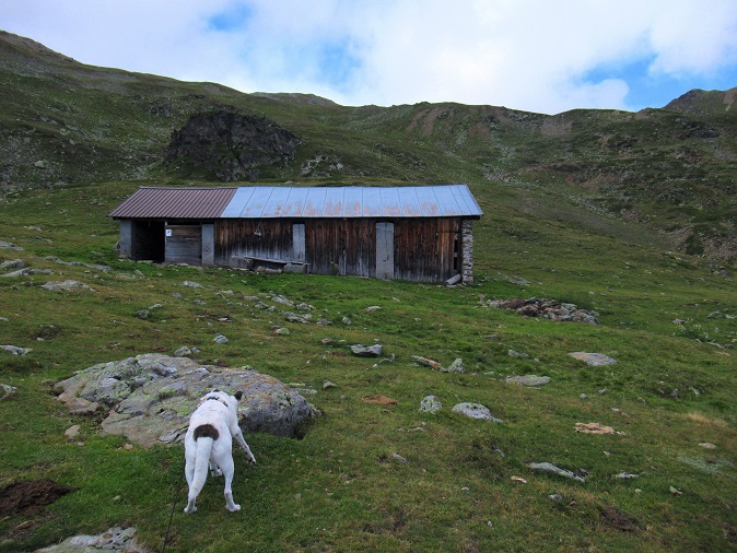Foto: Andreas Koller / Wandertour / Panoramaweg Seeköpfl - Grüner See (2635m) / Kälberstall / 13.08.2026 13:11:06