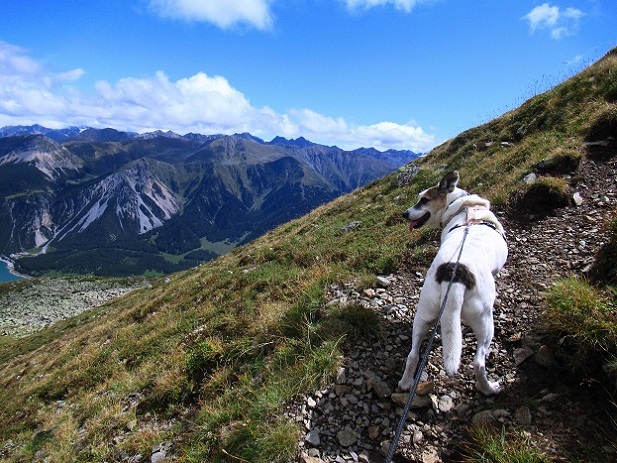 Foto: Andreas Koller / Wandertour / Panoramaweg Seeköpfl - Grüner See (2635m) / 13.08.2026 13:10:24