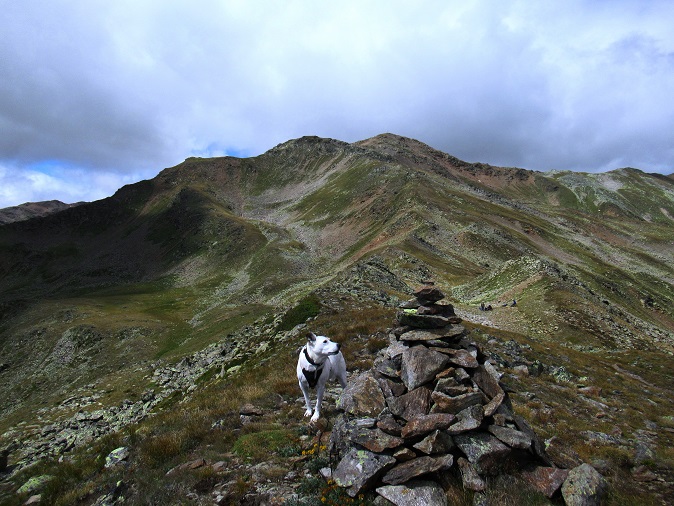 Foto: Andreas Koller / Wandertour / Panoramaweg Seeköpfl - Grüner See (2635m) / Gipfel Seeköpfl / 13.08.2026 13:09:45