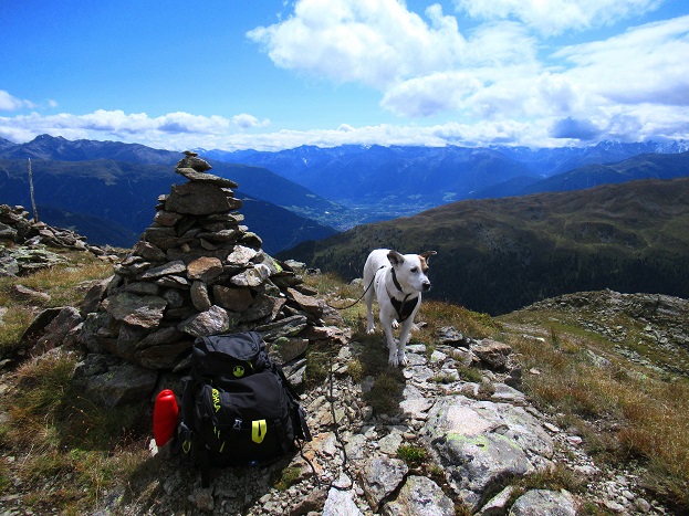 Foto: Andreas Koller / Wandertour / Panoramaweg Seeköpfl - Grüner See (2635m) / 13.08.2026 13:08:37
