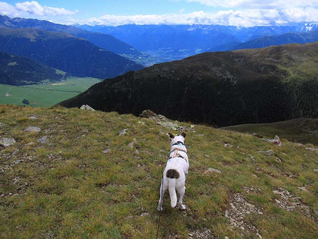 Foto: Andreas Koller / Wandertour / Panoramaweg Seeköpfl - Grüner See (2635m) / 13.08.2026 13:07:32