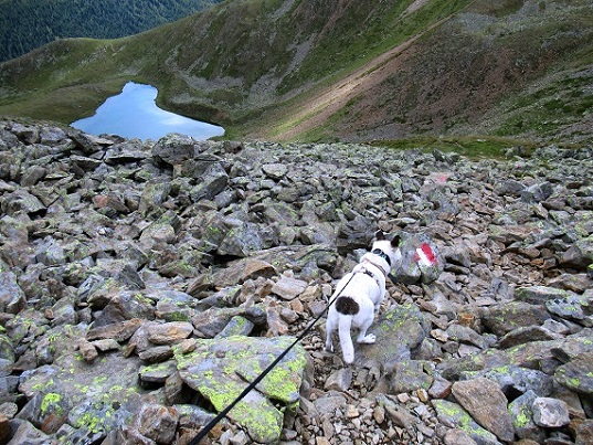 Foto: Andreas Koller / Wandertour / Panoramaweg Seeköpfl - Grüner See (2635m) / 13.08.2026 13:06:59