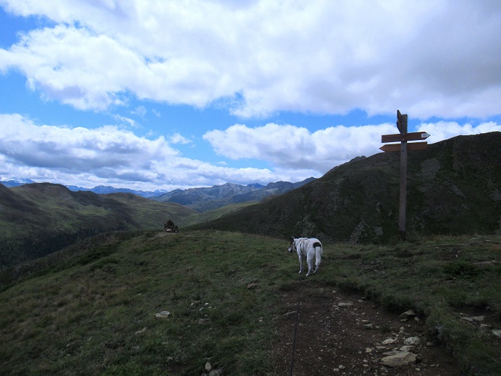 Foto: Andreas Koller / Wandertour / Panoramaweg Seeköpfl - Grüner See (2635m) / 13.08.2026 13:06:10