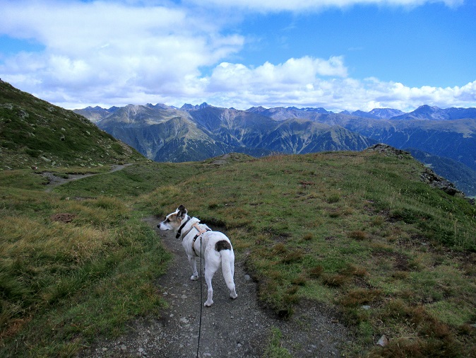 Foto: Andreas Koller / Wandertour / Panoramaweg Seeköpfl - Grüner See (2635m) / 13.08.2026 13:06:01
