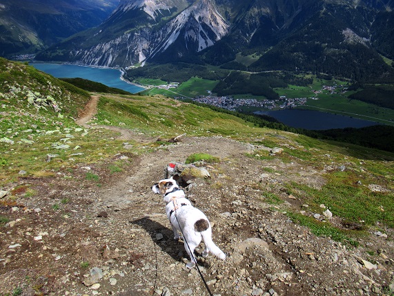 Foto: Andreas Koller / Wandertour / Panoramaweg Seeköpfl - Grüner See (2635m) / 13.08.2026 13:05:36