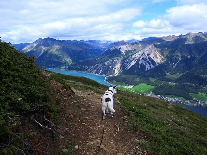 Foto: Andreas Koller / Wandertour / Panoramaweg Seeköpfl - Grüner See (2635m) / Abstieg am Panoramaweg mit Blick auf Reschen- und Haidersee / 13.08.2026 13:14:06
