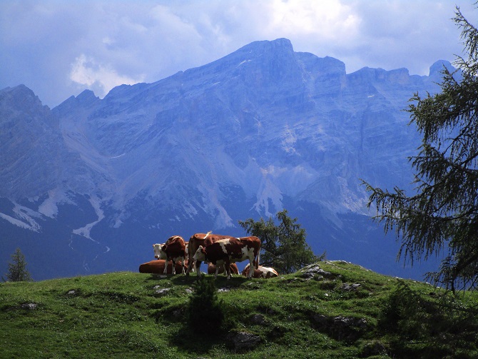 Foto: Andreas Koller / Klettersteigtour / Via ferrata Les Cordes und Pre Janin (2180m) / 14.08.2026 19:50:21