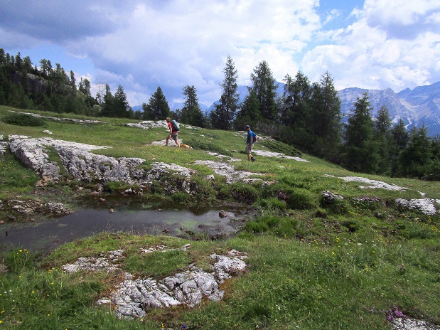 Foto: Andreas Koller / Klettersteigtour / Via ferrata Les Cordes und Pre Janin (2180m) / 14.08.2026 19:49:45