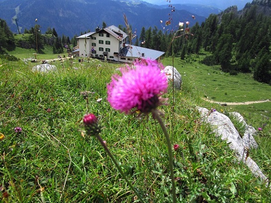 Foto: Andreas Koller / Klettersteigtour / Via ferrata Les Cordes und Pre Janin (2180m) / 14.08.2026 19:49:10