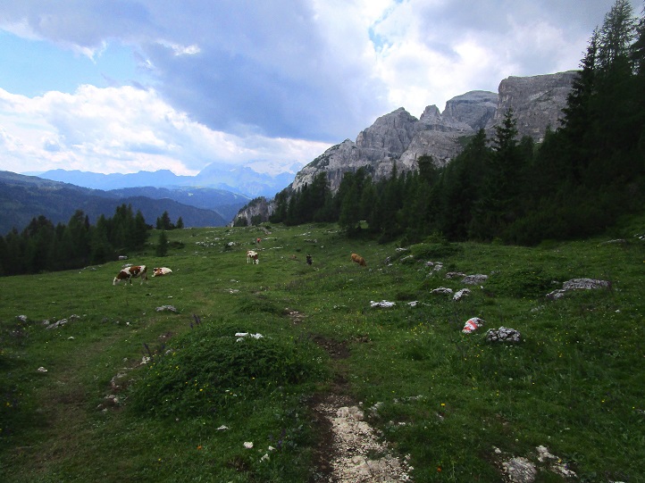 Foto: Andreas Koller / Klettersteigtour / Via ferrata Les Cordes und Pre Janin (2180m) / 14.08.2026 19:48:22