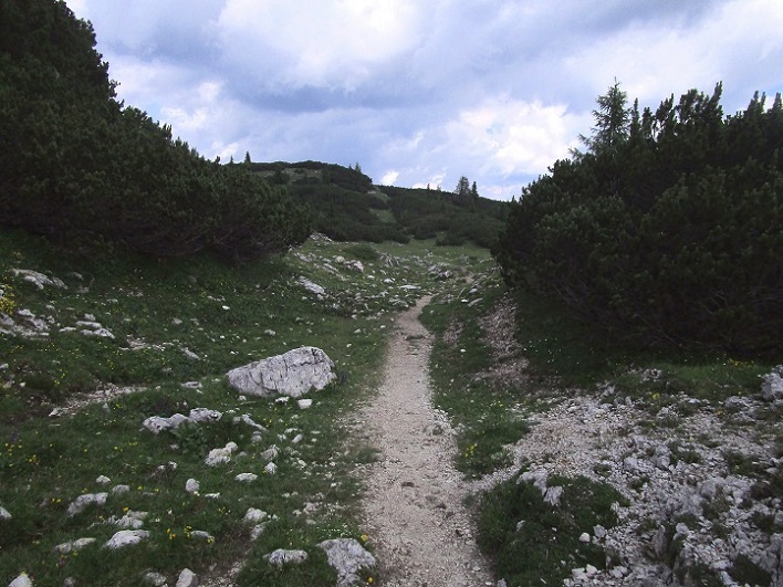 Foto: Andreas Koller / Klettersteigtour / Via ferrata Les Cordes und Pre Janin (2180m) / 14.08.2026 19:48:02