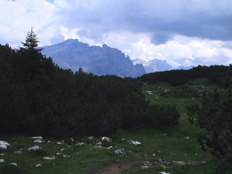 Foto: Andreas Koller / Klettersteigtour / Via ferrata Les Cordes und Pre Janin (2180m) / 14.08.2026 19:46:15