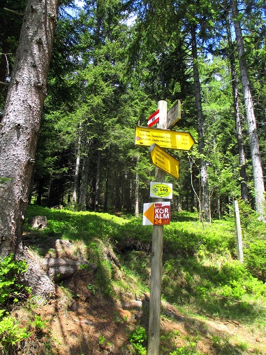 Foto: Andreas Koller / Wandertour / Gemütliche Wanderung auf den Glashüttenkogel (1762m) / 21.09.2026 22:33:23