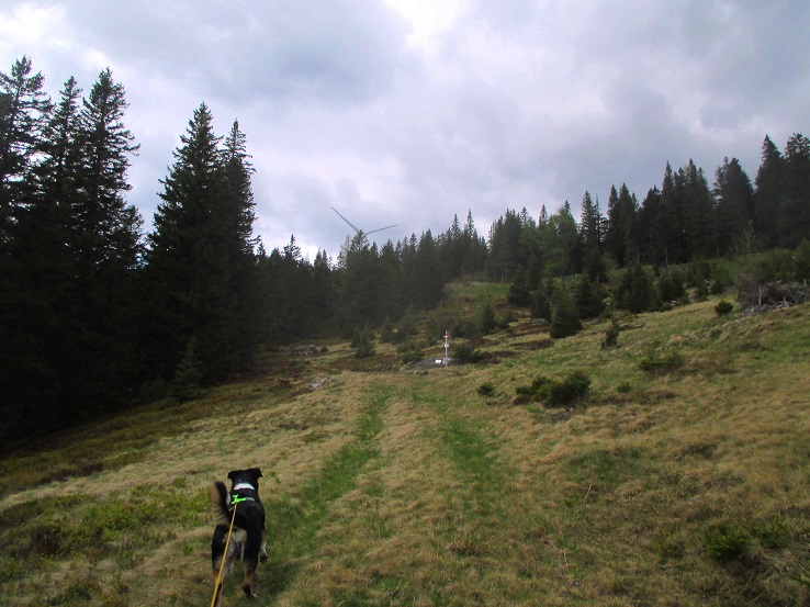 Foto: Andreas Koller / Wandertour / Gemütliche Wanderung auf den Glashüttenkogel (1762m) / 21.09.2026 22:32:40