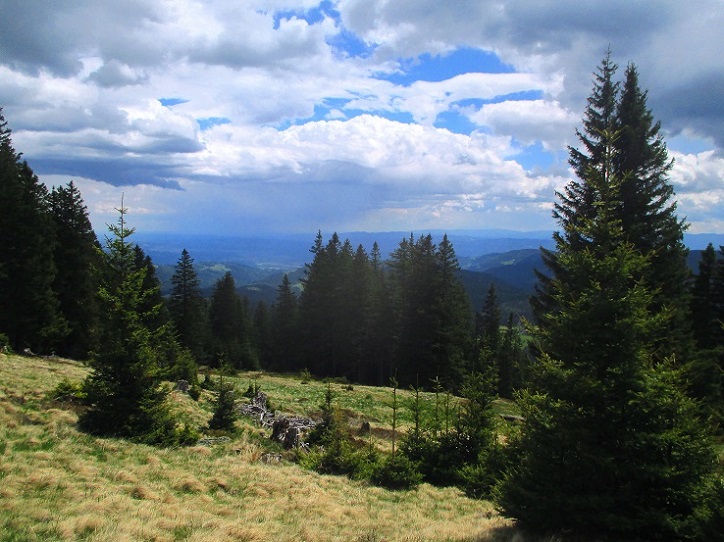 Foto: Andreas Koller / Wandertour / Gemütliche Wanderung auf den Glashüttenkogel (1762m) / 21.09.2026 22:32:34