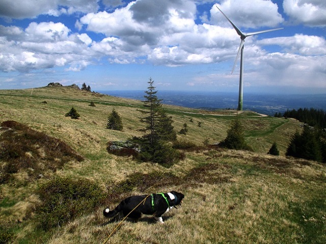 Foto: Andreas Koller / Wandertour / Gemütliche Wanderung auf den Glashüttenkogel (1762m) / 21.09.2026 22:27:57
