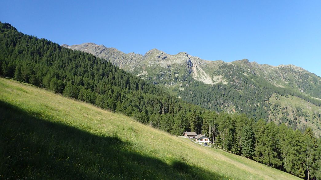 Foto: Manfred Karl / Wandertour / Hoher Dieb (2730 m) von der Tarscher Alm / 22.09.2026 20:00:33