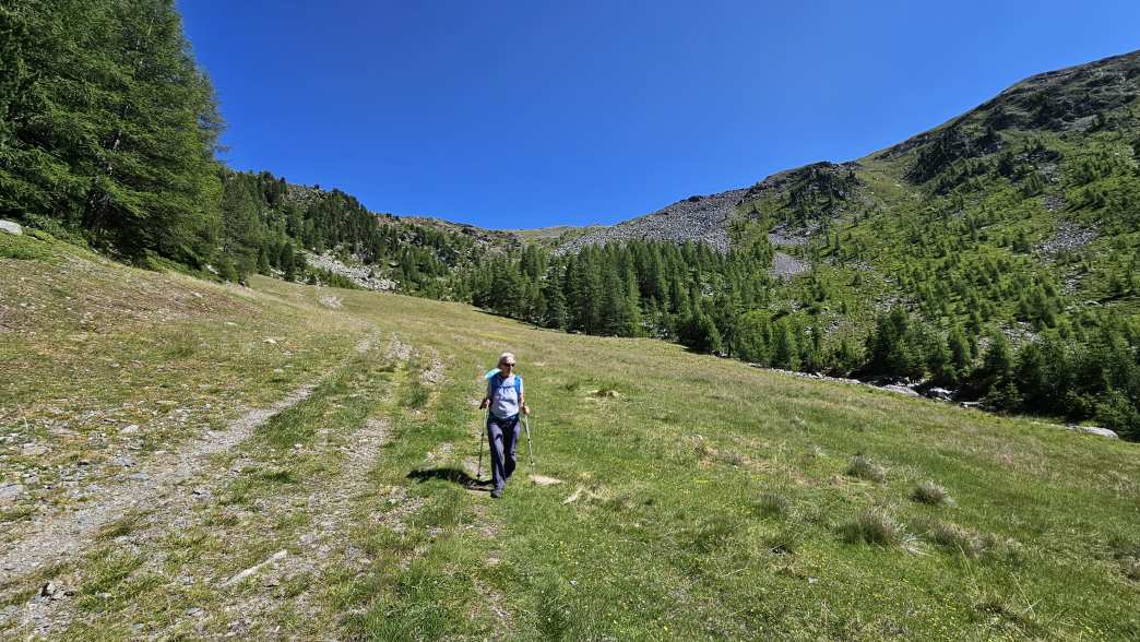 Foto: Manfred Karl / Wandertour / Hoher Dieb (2730 m) von der Tarscher Alm / 22.09.2026 19:47:58