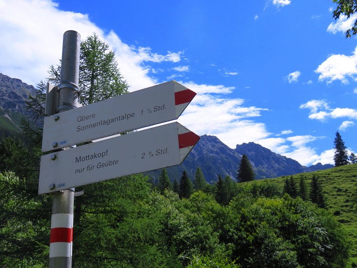 Foto: Andreas Koller / Wandertour / Mottakopf - Wächter über dem Brandnertal (2176m) / 30.09.2026 22:25:02