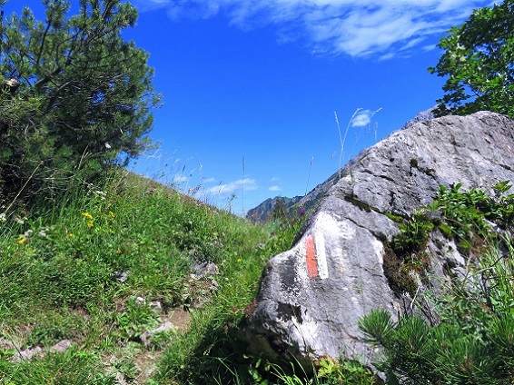 Foto: Andreas Koller / Wandertour / Mottakopf - Wächter über dem Brandnertal (2176m) / 30.09.2026 22:23:52