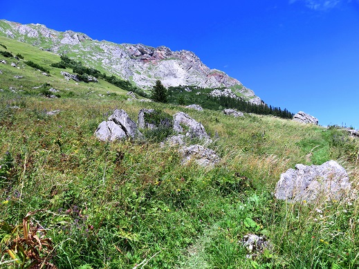 Foto: Andreas Koller / Wandertour / Mottakopf - Wächter über dem Brandnertal (2176m) / 30.09.2026 22:23:46