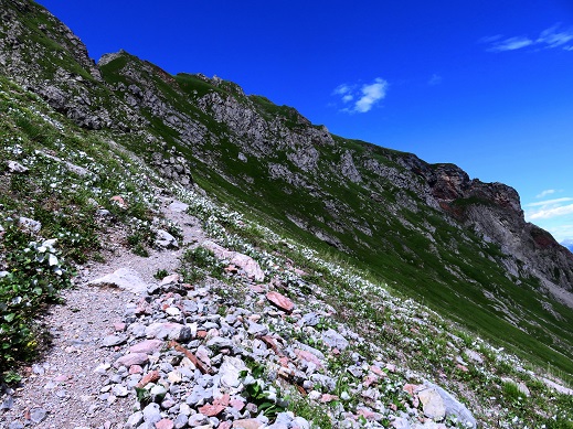 Foto: Andreas Koller / Wandertour / Mottakopf - Wächter über dem Brandnertal (2176m) / 30.09.2026 22:22:05