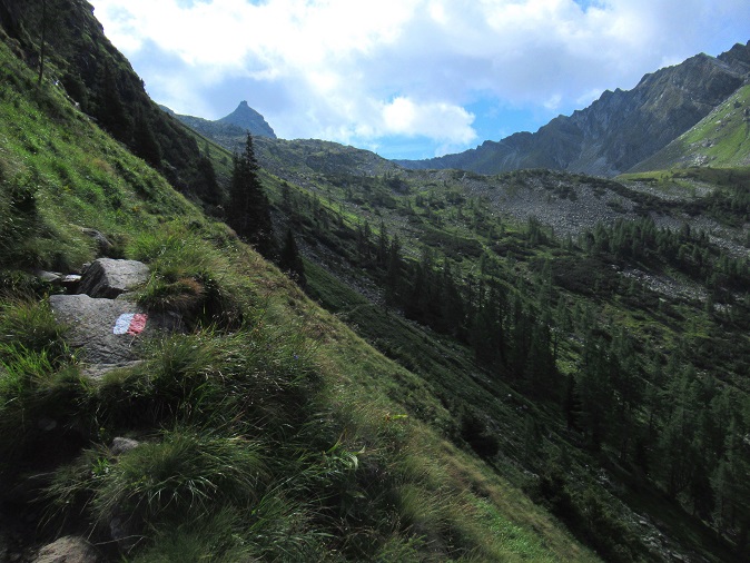Foto: Andreas Koller / Klettertour / Südgrat auf den Graukogel (2492m) / 03.10.2026 16:51:01
