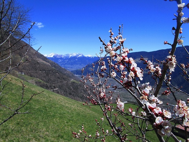 Foto: Andreas Koller / Wandertour / Durch die 1000-Stufen-Schlucht (1555m) / 10.10.2026 21:57:48