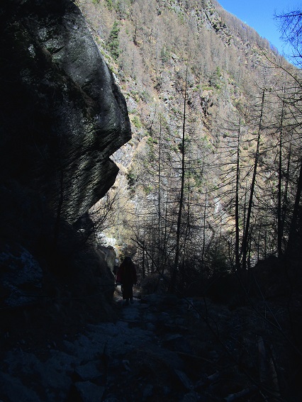 Foto: Andreas Koller / Wandertour / Durch die 1000-Stufen-Schlucht (1555m) / 10.10.2026 21:55:10