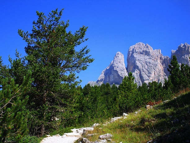 Foto: Andreas Koller / Klettersteigtour / Via ferrata Furcela Nives und Piz Duleda (2909m) / 11.10.2026 22:41:34