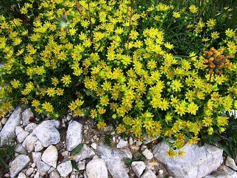 Foto: Andreas Koller / Klettersteigtour / Via ferrata Furcela Nives und Piz Duleda (2909m) / 11.10.2026 22:39:56