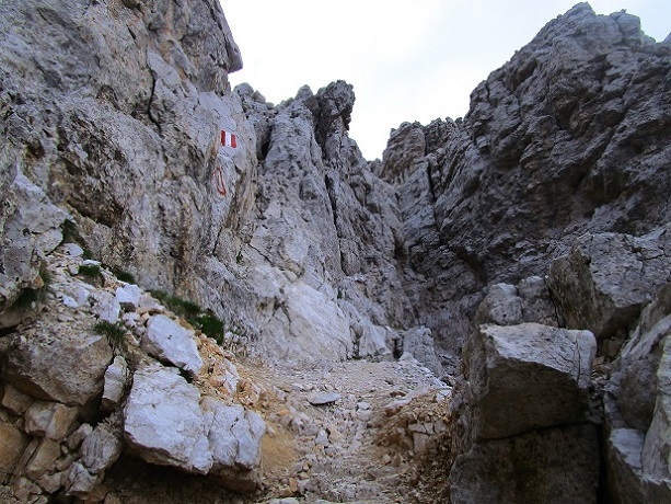 Foto: Andreas Koller / Klettersteigtour / Via ferrata Furcela Nives und Piz Duleda (2909m) / 11.10.2026 22:35:50