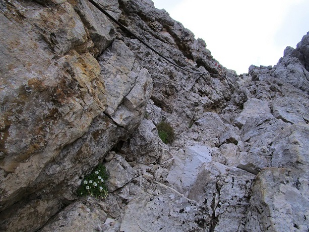 Foto: Andreas Koller / Klettersteigtour / Via ferrata Furcela Nives und Piz Duleda (2909m) / 11.10.2026 22:35:42