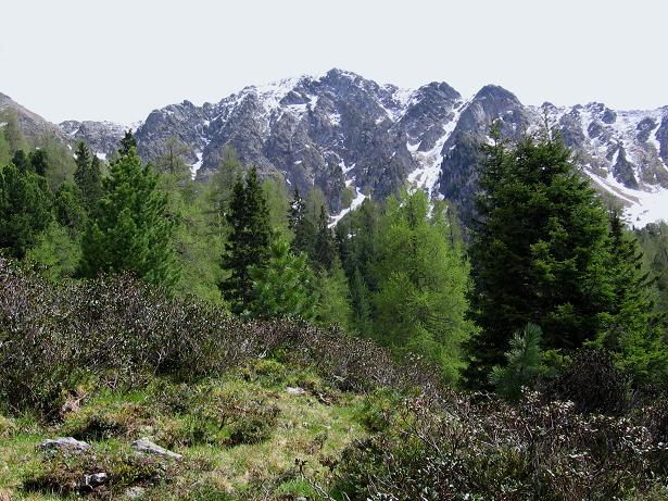 Foto: Andreas Koller / Wandertour / Lattersteig und sechs Gipfel (2320 m) / Die Bretthöhe-Nordflanke / 22.04.2007 22:16:38