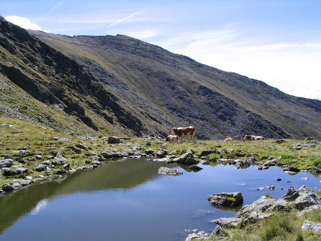 Foto: Andreas Koller / Wandertour / Rupprechtseck - Runde (2591 m) / Seenauge unter dem Brennerfeldeck / 29.04.2007 23:53:05