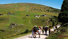 Foto: Andreas Koller / Wandertour / Familienwanderung auf das Rittner Horn (2261m) / Leichte Wanderung in sanftem Gelände zum Gipfel / 14.01.2007 16:15:56