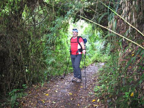 Foto: Andreas Koller / Wandertour / Durch Regenwald auf den Pasochoa (4200 m) / Dichter, feuchter Wald zu Beginn der Tour / 09.01.2007 02:19:55