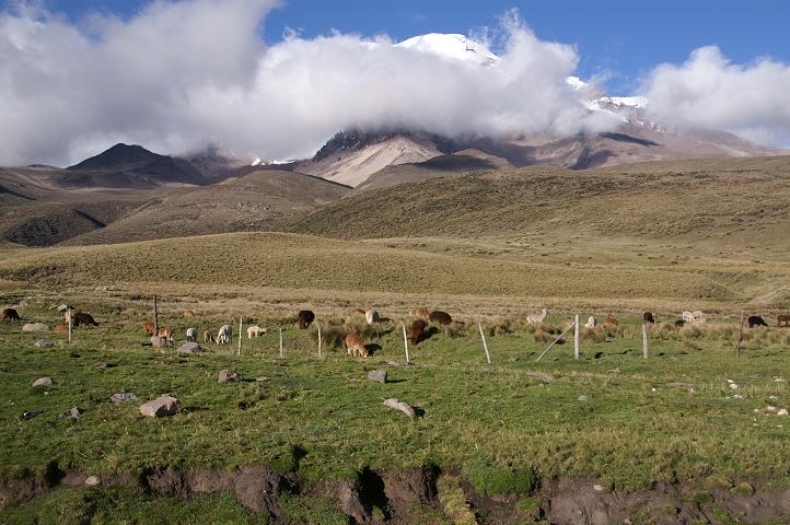 Foto: Andreas Koller / Wandertour / Chimborazo - König der Anden Ecuadors (6310 m) / Über der Hochfläche taucht der Chimborazo auf / 22.04.2007 20:47:27