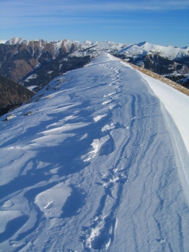 Foto: Christian Suschegg / Schneeschuhtour / Winter-Gratwanderung zwischen Großsölktal und Donnersbachwald / Unterwegs am Grat zwischen Bärneck und Pleßnitzenkopf. / 08.01.2007 17:14:28