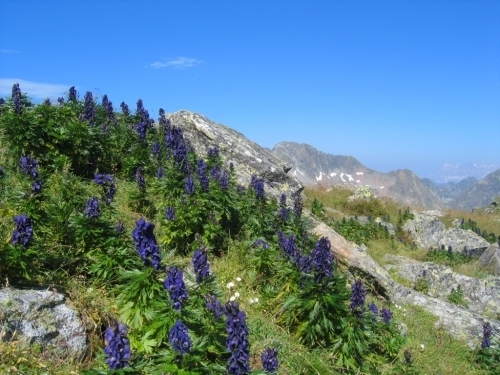 Foto: Christian Suschegg / Wandertour / Über den Schwarzensee auf Schöneck und Hasenhöhe / Unzählige