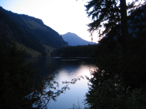 Foto: Christian Suschegg / Wandertour / Über den Schwarzensee auf Schöneck und Hasenhöhe / Im Bereich des Schwarzensee´s kurz nach Sonnenaufgang. / 22.01.2007 17:53:12