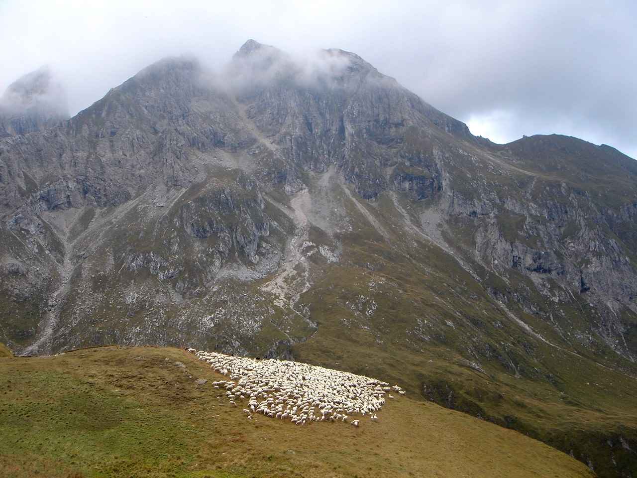 Foto: Manfred Karl / Wandertour / Monte Cernera (2664m) / Von der Punta Zonia hat man einen guten Überblick des Anstieges zum Monte Cernera. / 05.05.2007 19:12:24