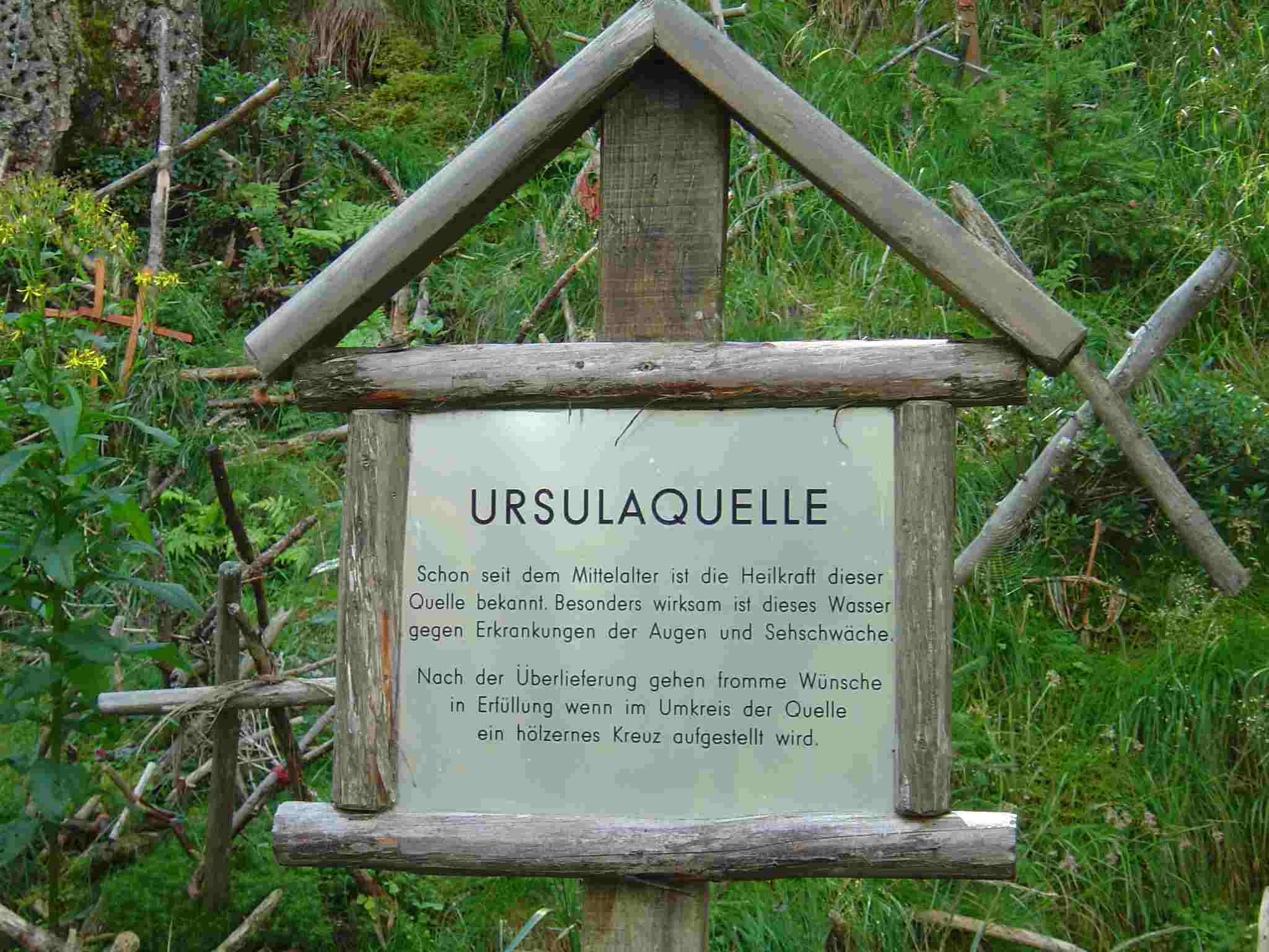 Foto: Manfred Karl / Wandertour / Kruckenspitze, 1886 m / Das Quellwasser schmeckt jedenfalls gut, ob´s tatsächlich hilft ;-)? / 03.05.2007 06:23:47
