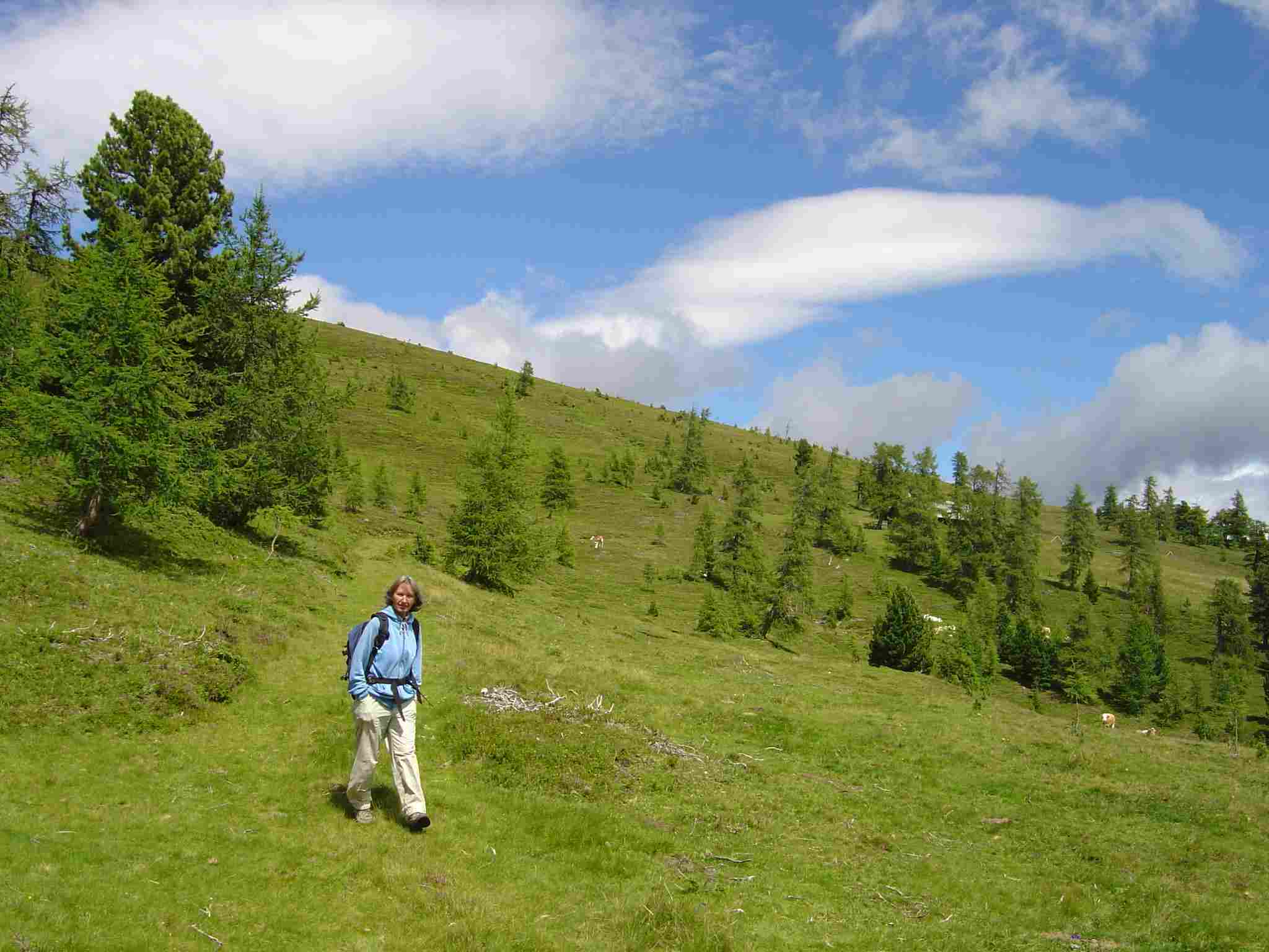 Foto: Manfred Karl / Wandertour / Von St. Lorenzen auf den Speikkofel / Herrliche Almwiesen in der Nähe der Kirchlhütte. / 03.05.2007 06:27:49