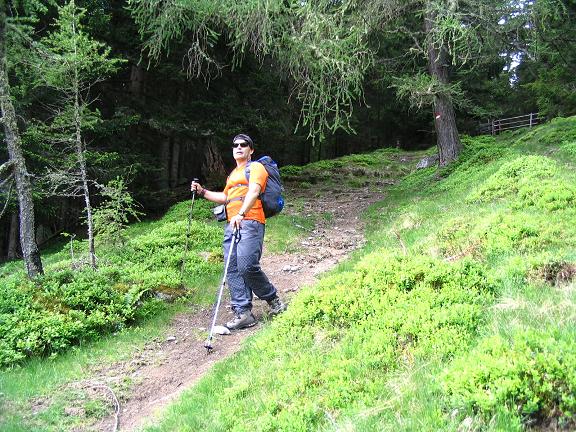 Foto: Andreas Koller / Wandertour / Gummaberg und Kreuzhöhe (2566 m) / Schöner Waldweg im Aufstieg zur Wildbachhütte / 28.05.2007 10:47:41