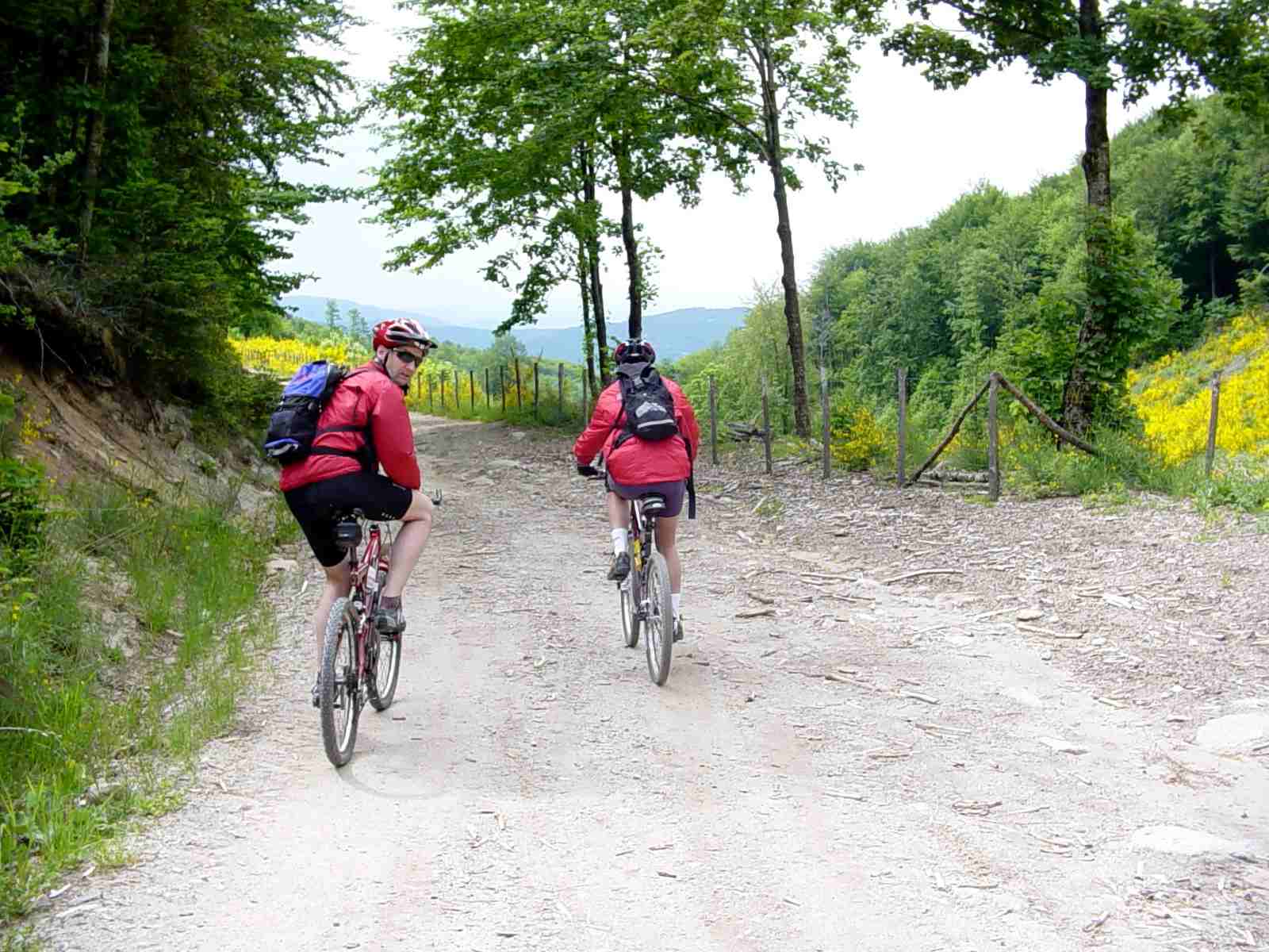 Foto: Manfred Karl / Mountainbiketour / Monte Amiata, 1733 m / 20.06.2007 06:13:22
