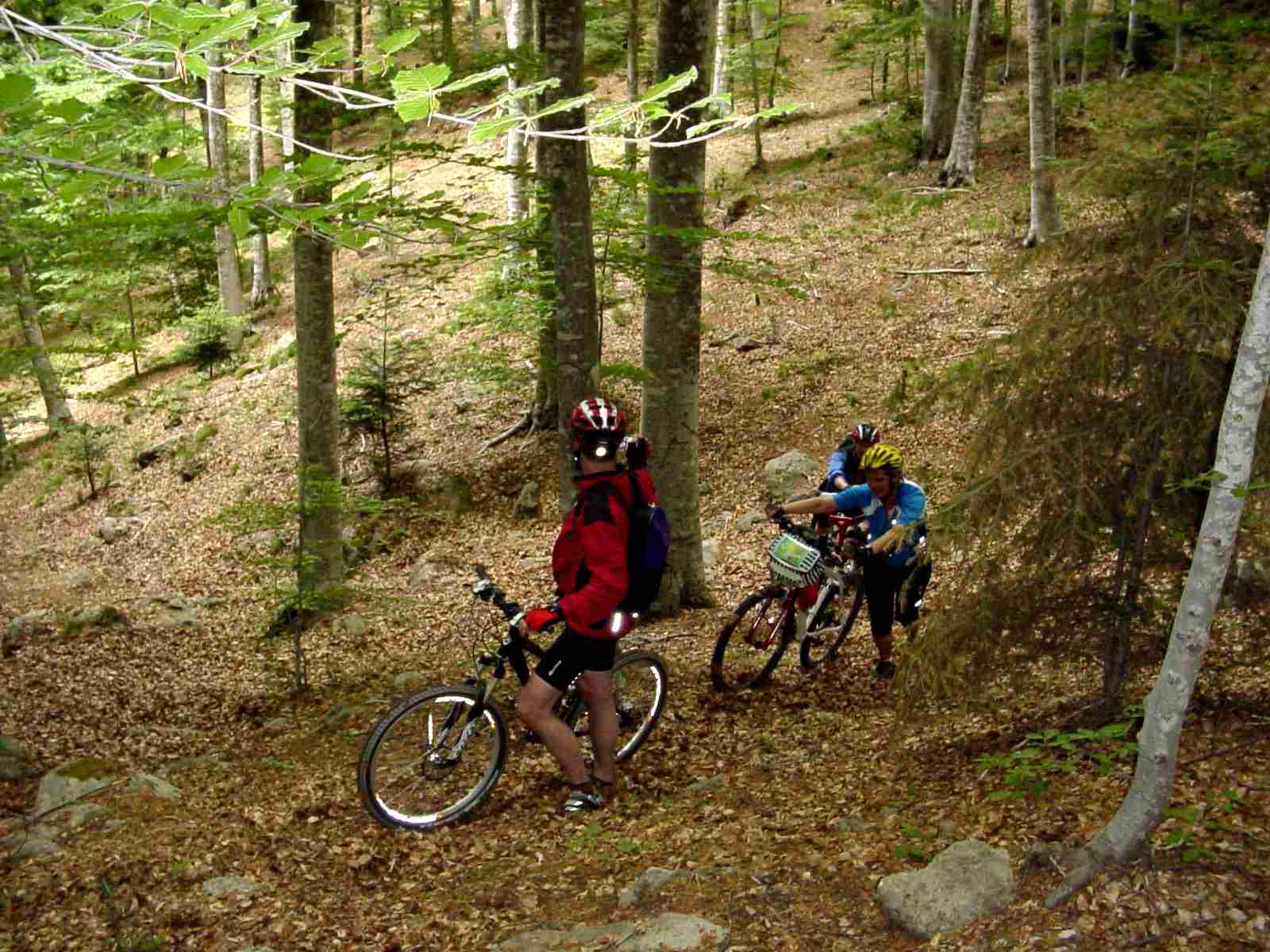 Foto: Manfred Karl / Mountainbiketour / Monte Amiata, 1733 m / 20.06.2007 06:11:58