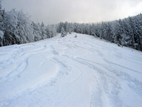 Foto: Marie Motil / Skitour / Von der Gersbergalm auf den Gaisberg (1287m) / 27.12.2006 18:33:57