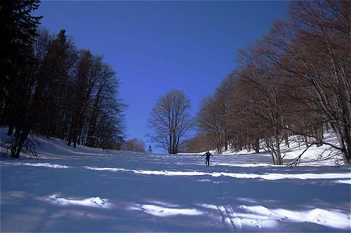 Foto: Gerhard Mayrhofer / Skitour / Hochstaff (1305m) / 27.12.2006 18:35:59