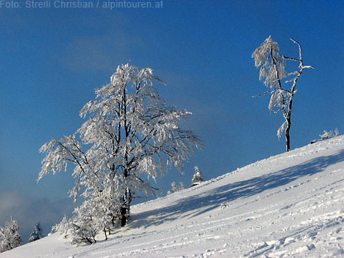 Foto: Lenswork.at / Ch. Streili / Skitour / Wieserhörndl, 1567m  / 27.12.2006 18:17:08